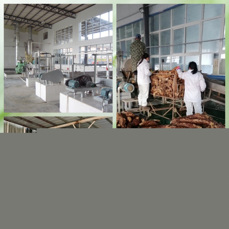 葛根的現(xiàn)代化機(jī)械加工.jpg