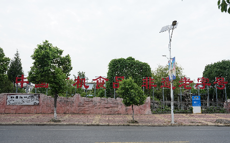 當定制葛粉時，我們真正在選擇什么？