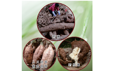 買葛粉是買野生的好？還是野生有機的好？